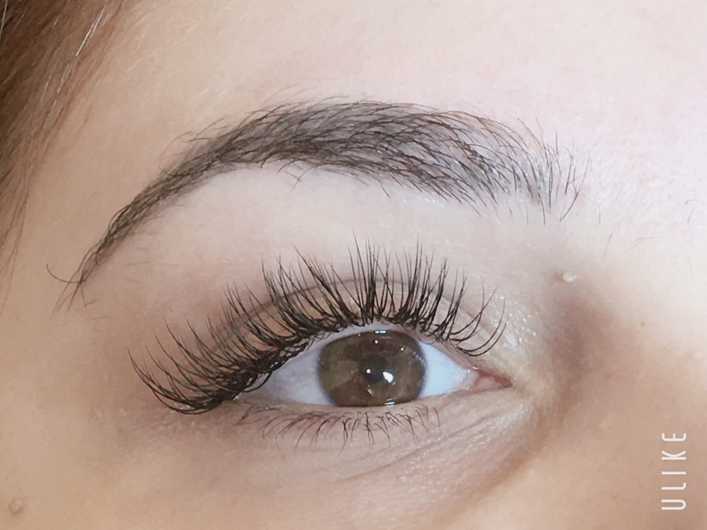 Magic Lash Salon gallery image